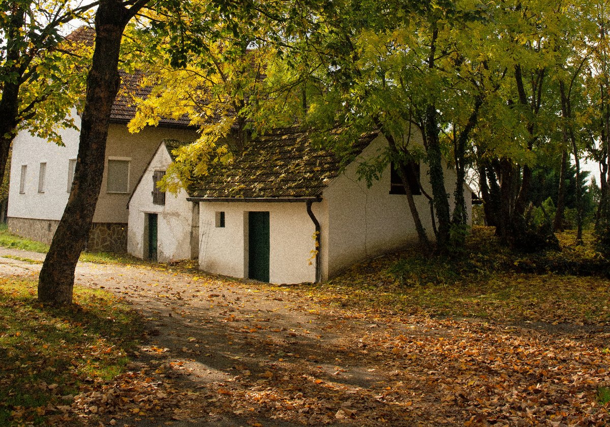 Wohnhaus mit Garten und gewachsenem Baumbestand